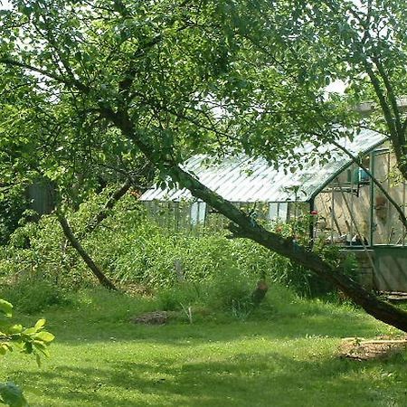 Montfort-le-Gesnois Chambres D'Hotes Le Pont Romain المظهر الخارجي الصورة